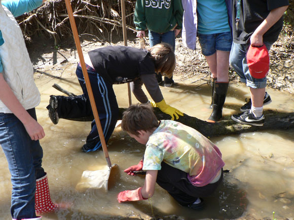 2 - Collecting the sample